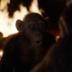 Image: 20th Century Fox